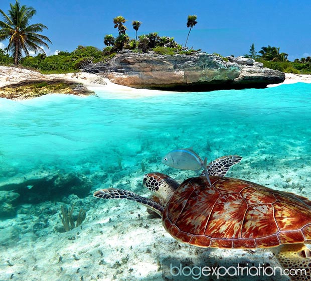Des plages paradisiaques, des fonds marins magnifiques, c'est ce que vous pourrez trouver à Playa Del Carmen 