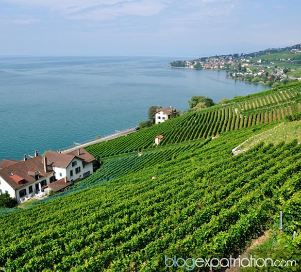 Le canton de Vaud fait partie des cantons les plus appréciés par les Français.