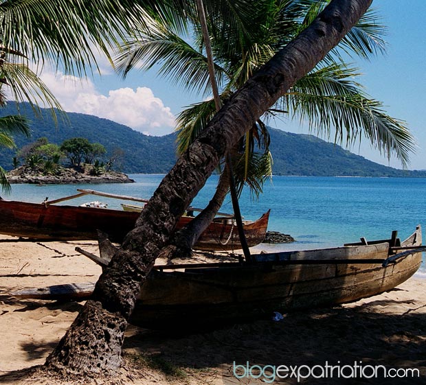 Niché dans l’Océan Indien, Madagascar est une île réputée pour sa faune, et sa flore est vraiment unique au monde. 